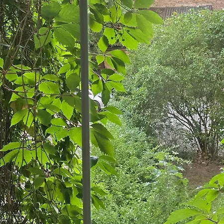 Apartamento Cozy & Silent *